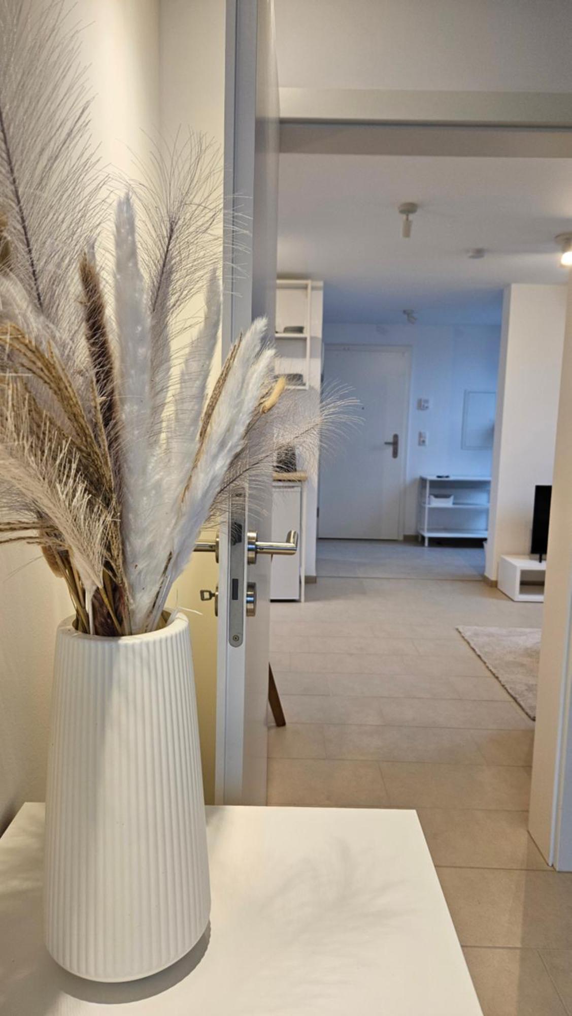 Ferienwohnung As 5 One & Two Bamberg - Modern In Ruhiger Lager Mit Balkon Hallstadt Zewnętrze zdjęcie